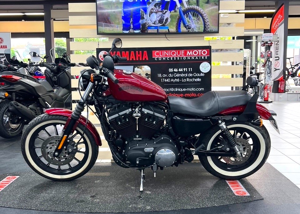 photo de HARLEY DAVIDSON SPORTSTER IRON 883 883 occasion de couleur  en vente à Aytre n°2