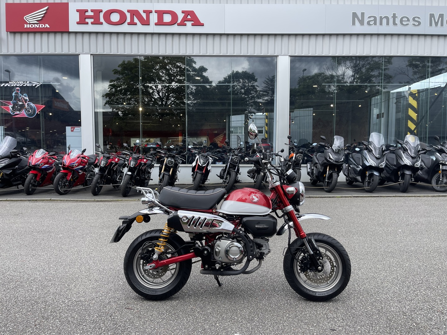 photo de HONDA Z125MA 124 occasion de couleur  en vente   Orvault