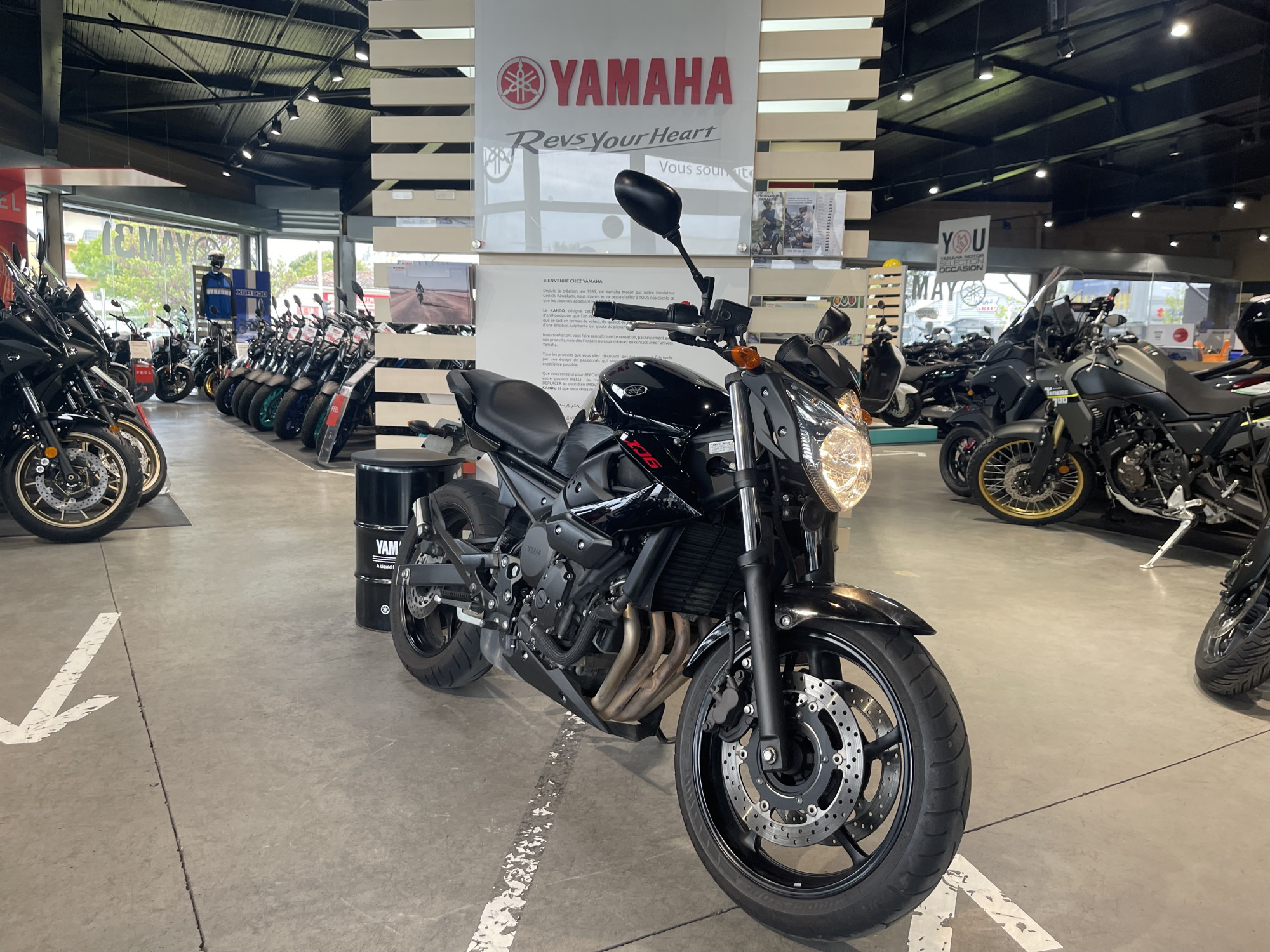 Annonce moto Yamaha XJ6-N