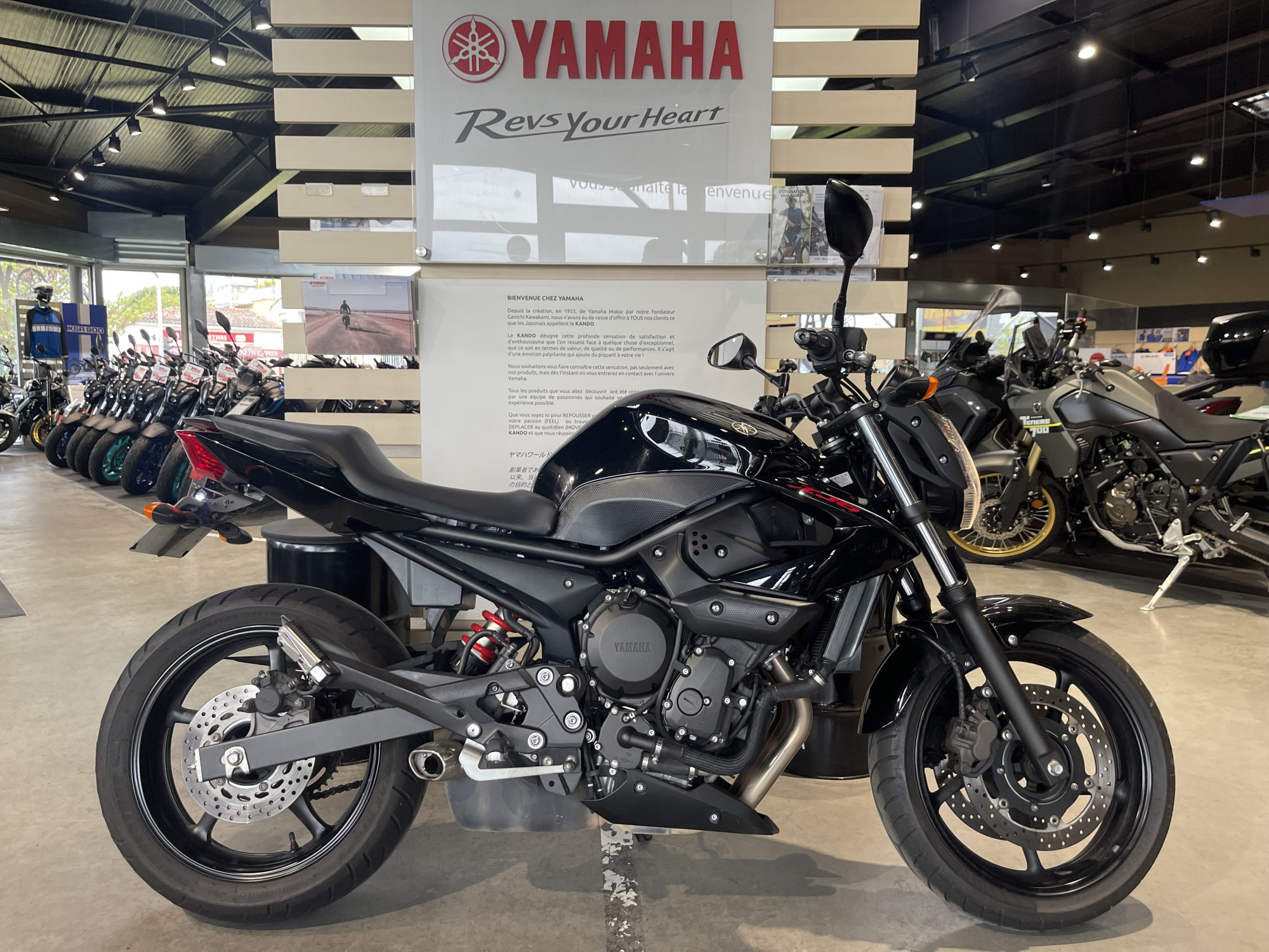 photo de YAMAHA XJ6-N 600 occasion de couleur  en vente à Toulouse n°3