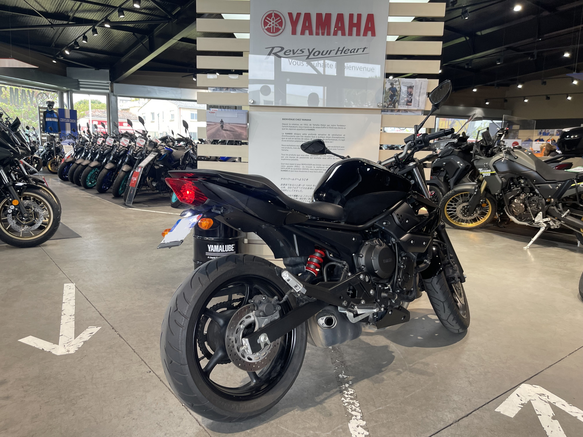 photo de YAMAHA XJ6-N 600 occasion de couleur  en vente à Toulouse n°2