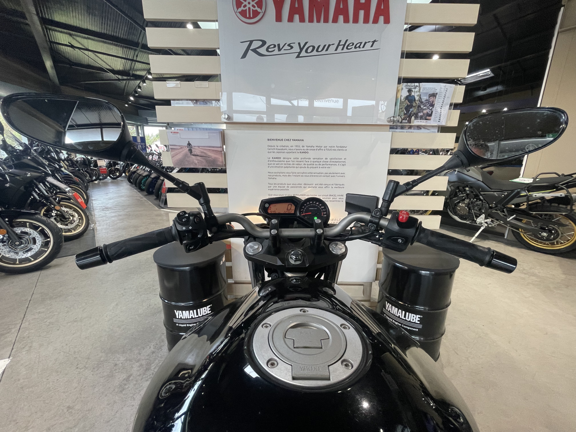 photo de YAMAHA XJ6-N 600 occasion de couleur  en vente   Toulouse