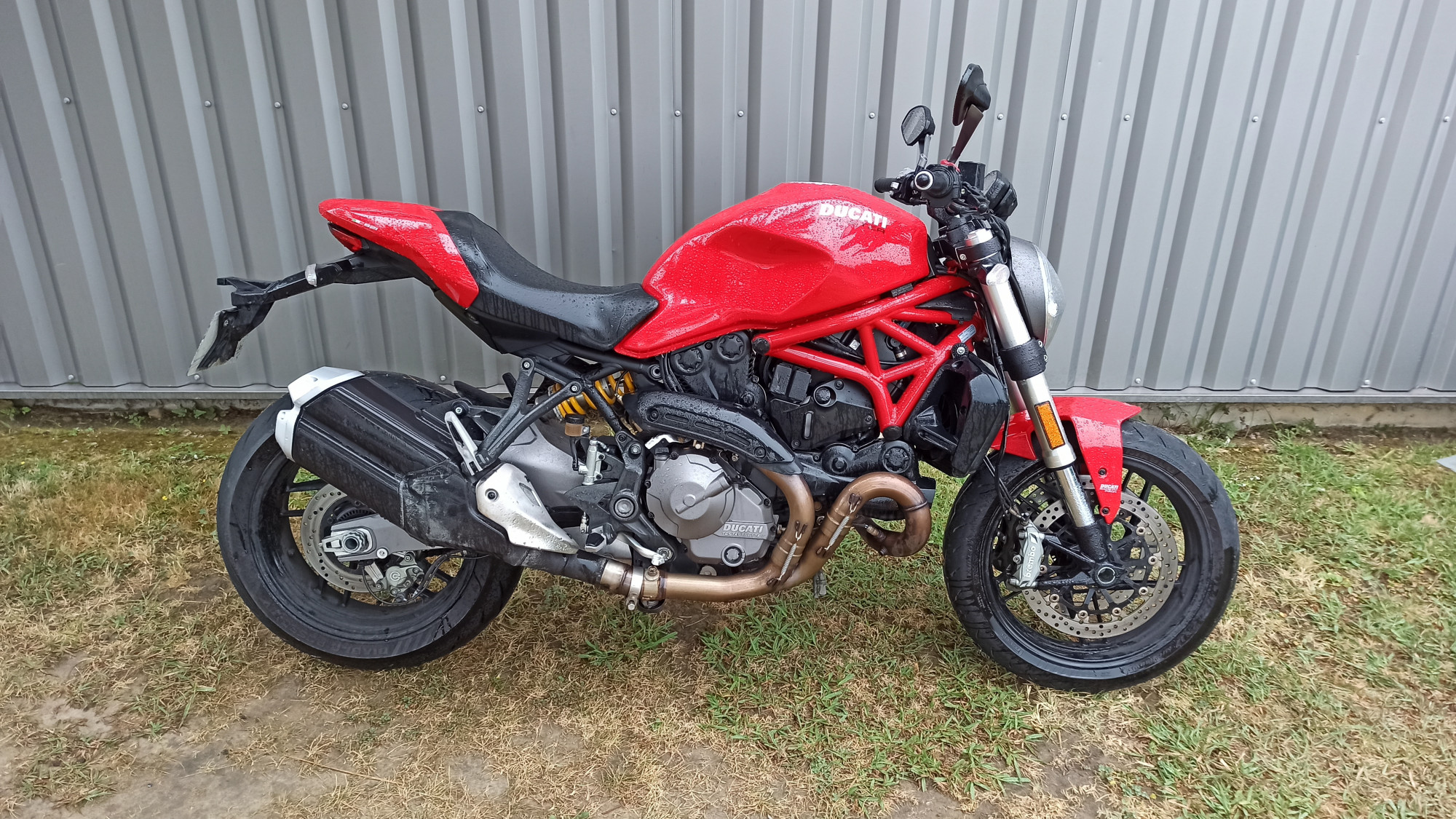 photo de DUCATI MONSTER 821 821 occasion de couleur  en vente à Anglet n°3