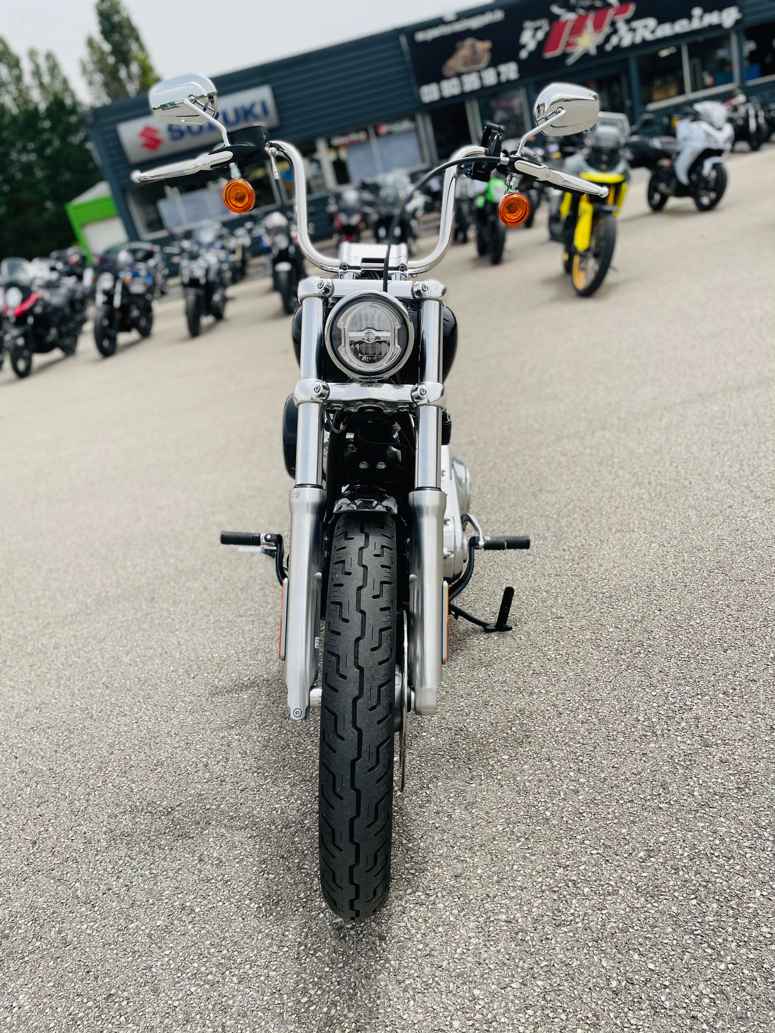 photo de HARLEY DAVIDSON SOFTAIL STANDARD 1745 1745 occasion de couleur  en vente à Fixin n°2